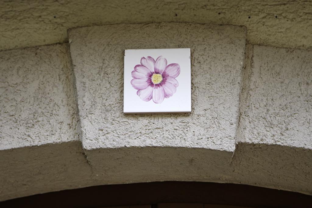 Faehrhaus Meissen B&B Cameră foto
